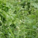 수기농장 이미지