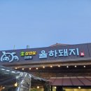 율하돼지
