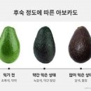 아보카도 손질 후숙 보관 방법 이미지