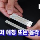 더블유티 인터내셔널