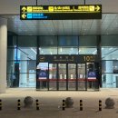 선양타워 | 중국 무비자 입국, 중국 남방 항공 탑승기, 14만 원으로 중국 3개 도시 여행하기 ( 충칭, 선양, 대련 )