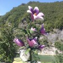 가탄(가수리) 이미지