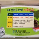 문수양궁장(주말) 이미지