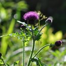 하늘소농장 이미지