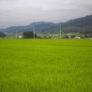 상송점촌 이미지