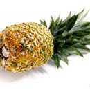 오늘은 뭘 먹지 건강밥상 이미지