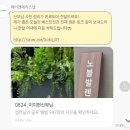 메리앤메리스냅 | *내돈내산* 웨딩 아이폰 스냅 🕊️메리앤메리스냅🕊️ 본식 후기 (만족도 100000%)