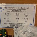 배정약국 | 렌트카 여행 추천하는 미야자키 숙소 – JR 규슈 호텔 후기