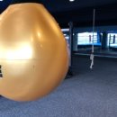 클린히트 복싱 짐 이미지