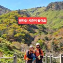 손오공PC | 김포공항 주차비용 공식 주차대행 주차예약 비교 후기