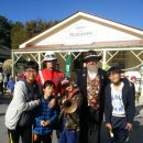 [뉴질랜드 여행] 타우랑가 유학 가족들과 함께 다녀온 남섬여행 6일차 - 퀸스타운 이미지