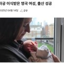163_250414_womb transplant 이미지