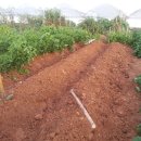 한강농장 이미지