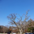 화승여관 | 해남 가볼만한곳 두륜산 대흥사 여행