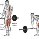 다이어트365GYM 이미지