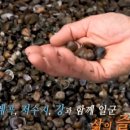 섬진강웰빙재첩