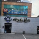 [대구 참치 맛집] 들안길 아라한참치 (고급 참치 코스 요리)