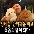 채플린미용실 - 완도군 개포로62번길 24-1 | 정세협 비보 속 진실과 기억 - "웃음 뒤 남은 이야기"