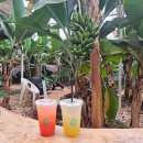 야곱한우농장 이미지