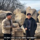 큰돌농장 이미지