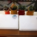 갈마농원 이미지