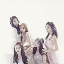 8스텔라 이미지