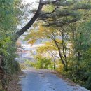 자굴산황토민박 이미지