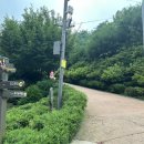 아차산유아숲체험장 네이버블로그