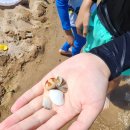 오도리 간이해수욕장 공중화장실 이미지