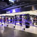 시암아시아 이미지