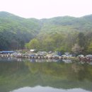 학암낚시터 이미지