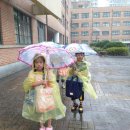 금암태권스쿨 이미지