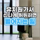 휴멍애견유치원 이미지