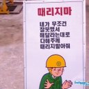 멜로나