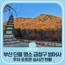 범어사역 3번출구 | 부산 단풍 명소 금정구 범어사 주차 포토존 실시간 현황