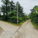 진석축산 이미지