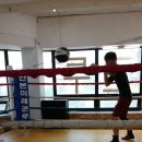 산본미래권투 이미지