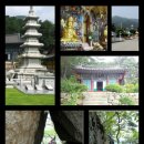 동천민박 이미지