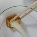 비에이치씨사동계양점