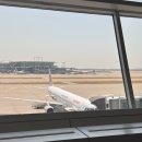 돈스탑 | [로마] 중국동방항공 MU5042, MU787 상하이 스탑오버 탑승 후기