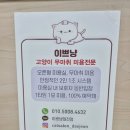 낭만고양이병원 이미지