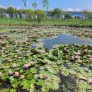 낙동강관리본부 화명생태공원 15 이미지