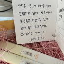 (주)천보E.T.T | [시험관 일기] 5일 배양 동결배아 이식 후 증상, 1차 피검사 하루 만에 2차 피검사 및 결과(성공)
