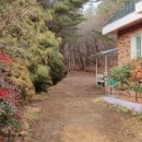 까사델와나스타 이미지