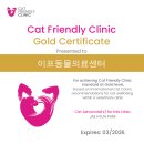 이프동물의료센터 이미지