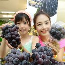 (주) 거봉 이미지
