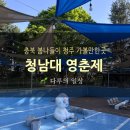 오각놀이공원 | 청남대 영춘제 후기｜주차·모노레일·드라이브 코스까지 총정리