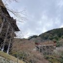 핑꾸상점 | [교토여행] Day2 :: 청수사(기요미즈데라) 벚꽃, 야사카의 탑, 산넨자카, 니넨자카 포토스팟추천...