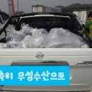 우성장어 이미지