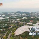 포구 민박 이미지